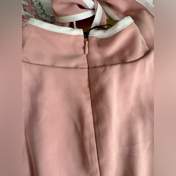 NWT  Alexia Admor Short Sleeve Sleeve Fit And Flare Dress Pink And White - Picture 8 of 8